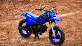 Yamaha PW50