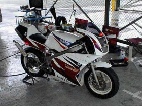 Yamaha TZM 50